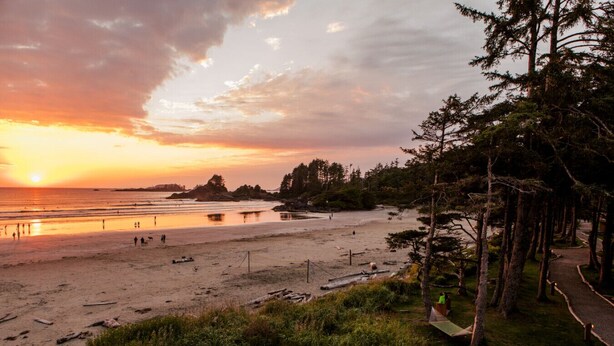 Una playa con atardecer, árboles y un sendero.