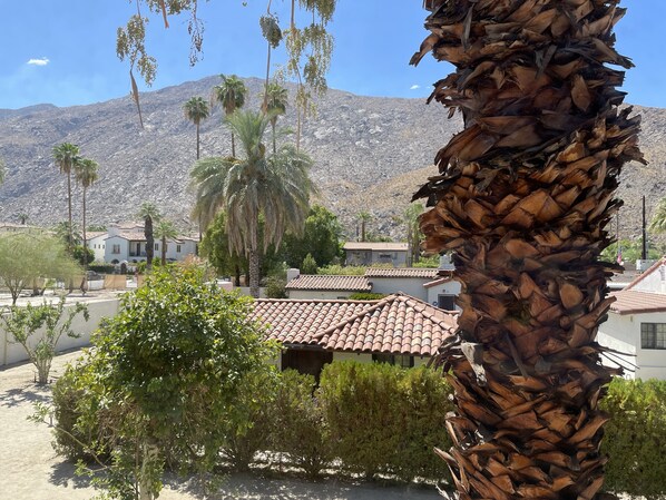 Property grounds - Apt G - furnished 1bed/1bath, second floor,in the heart of downtown Palm Springs (Palm Springs)