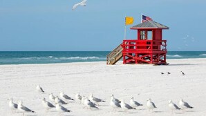 A beach lifeguard tower with a flag, surrounded by seagulls on a sandy beach.