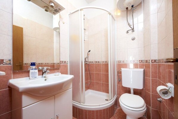 Une salle de bain équipée d’une douche, de toilettes, d’un lavabo et d’un miroir.