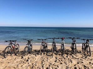 Liegestühle, Strandtücher