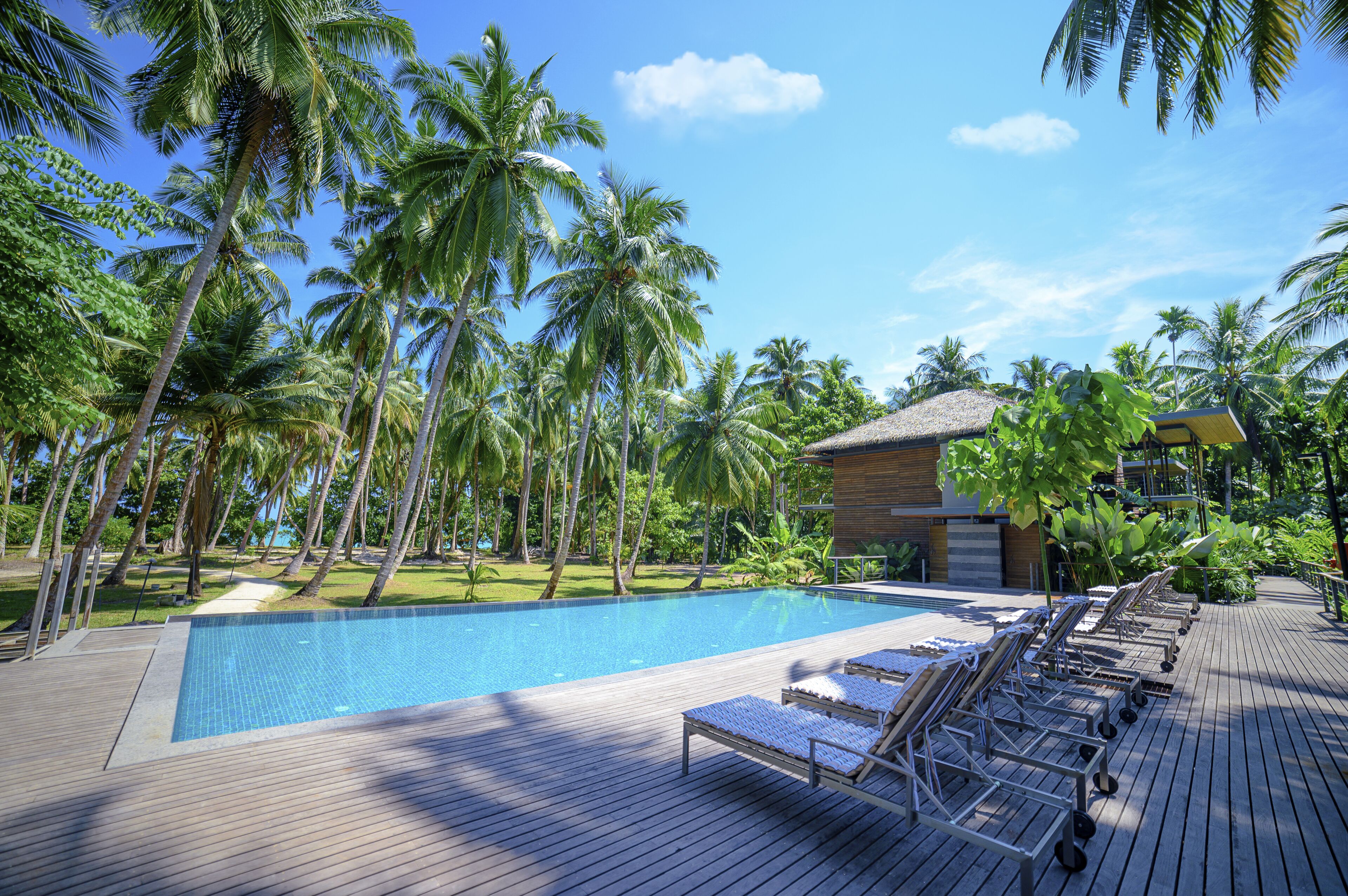 A poolside area with lounge chairs, a wooden deck, and palm trees.