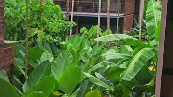 A thatched-roof structure surrounded by lush green foliage.