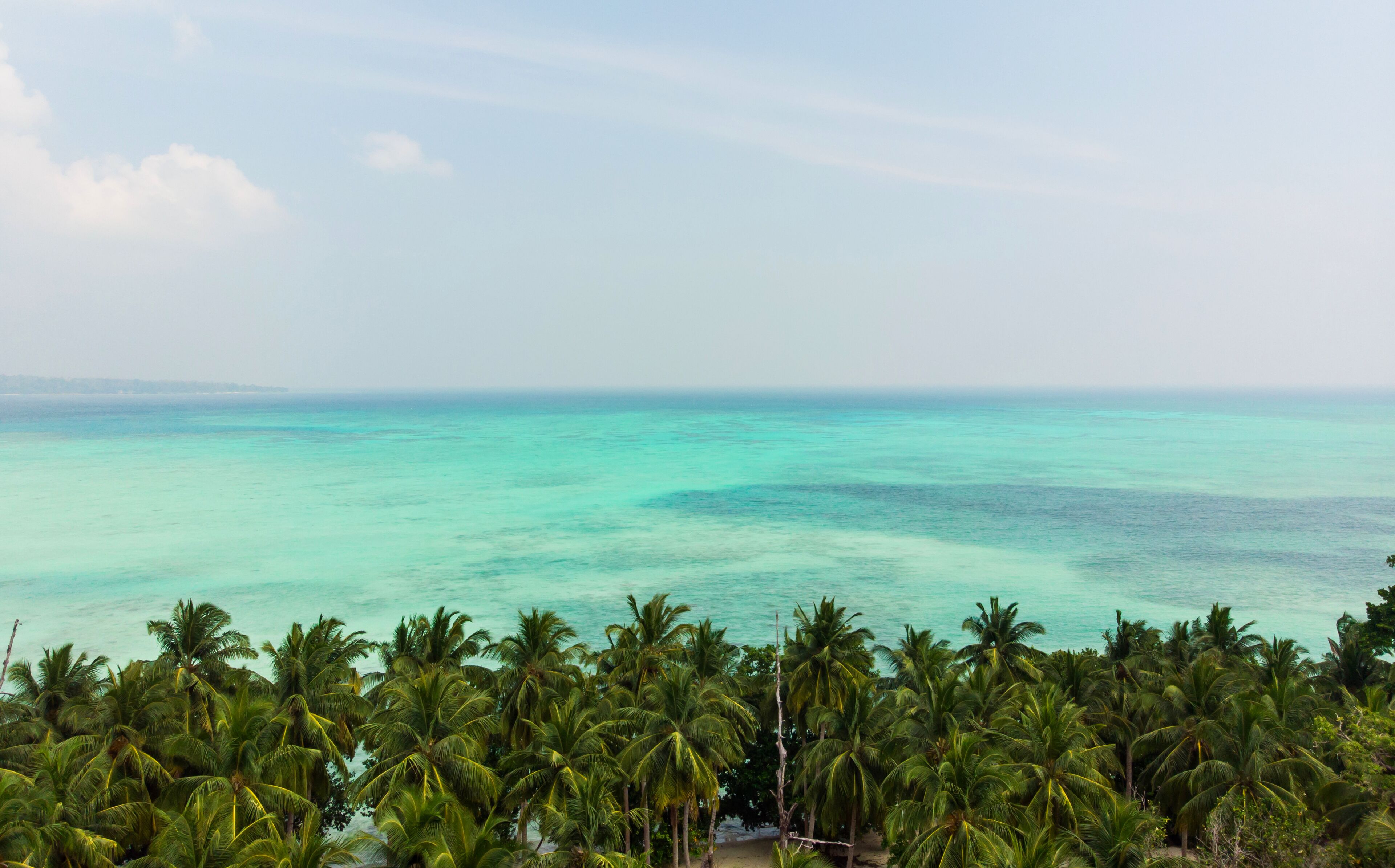 A tropical beach with clear turquoise waters and dense palm trees.