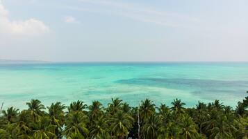 A tropical beach with clear turquoise waters and dense palm trees.