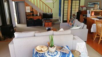 TV, fireplace, books