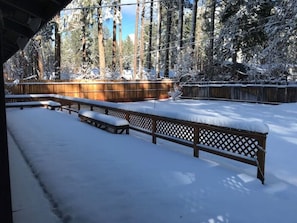 Relax in a tranquil forest setting surrounded by tall evergreen trees, with a sheltered deck featuring benches.