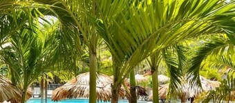 EAST KEYS Cottage Key 19: pool and beach access, 2CH