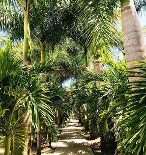 Overnatningsstedets område