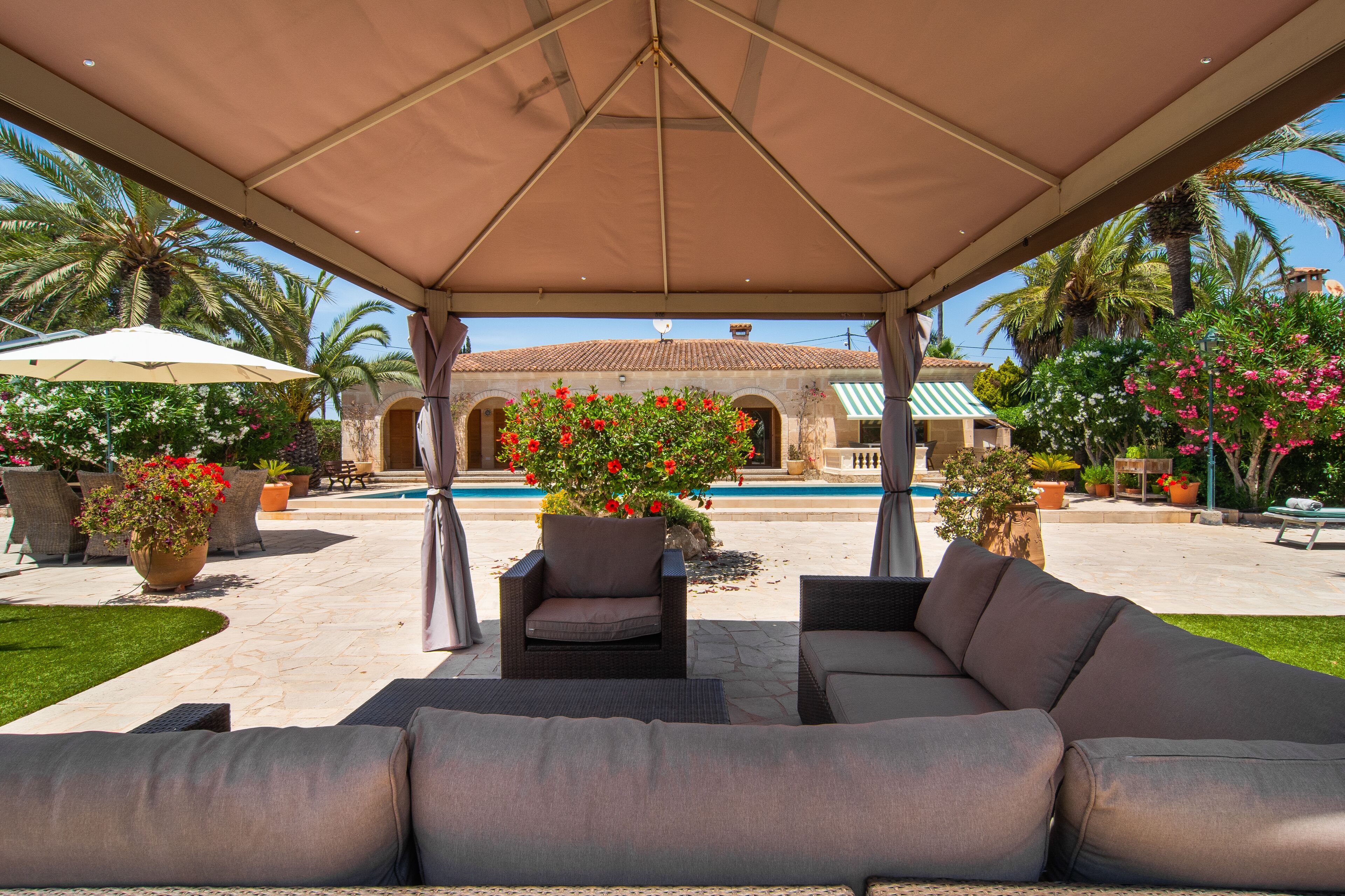 A covered outdoor seating area with a pool, surrounded by potted plants and palm trees.