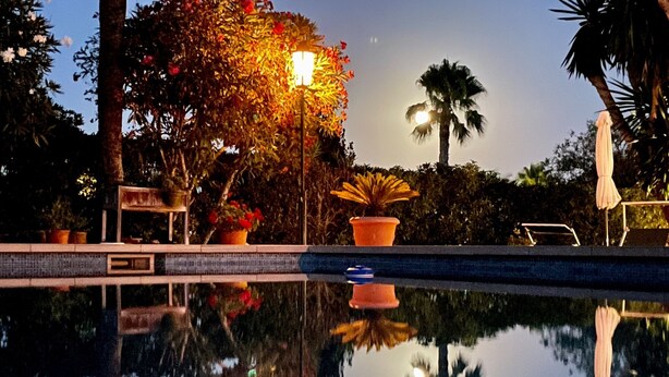 A serene pool area with a clear reflection, surrounded by potted plants and a palm tree. - Luxury hideaway with 100m² pool in a green oasis (summer and winter) (Vallgornera)
