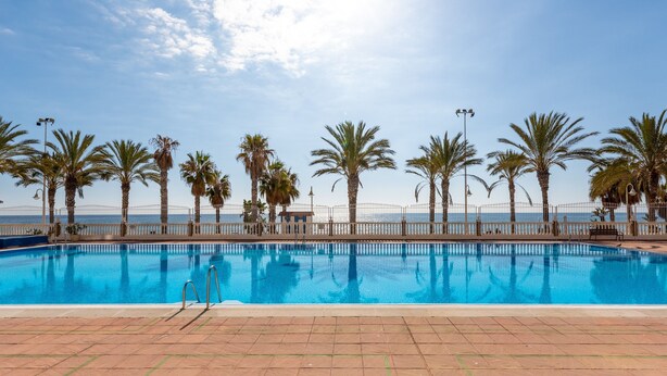 Une piscine dotée d’une terrasse carrelée, entourée de palmiers et d’une clôture, sous un ciel dégagé.