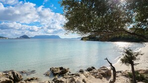 A coastal landscape with clear water, rocky shoreline, and a tree. - Apartment 'Orizzonti 31' with Sea View, Private Terrace and Air Conditioning (Golfo Aranci)