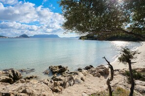 Un paysage côtier avec une eau claire, une côte rocheuse et un arbre.