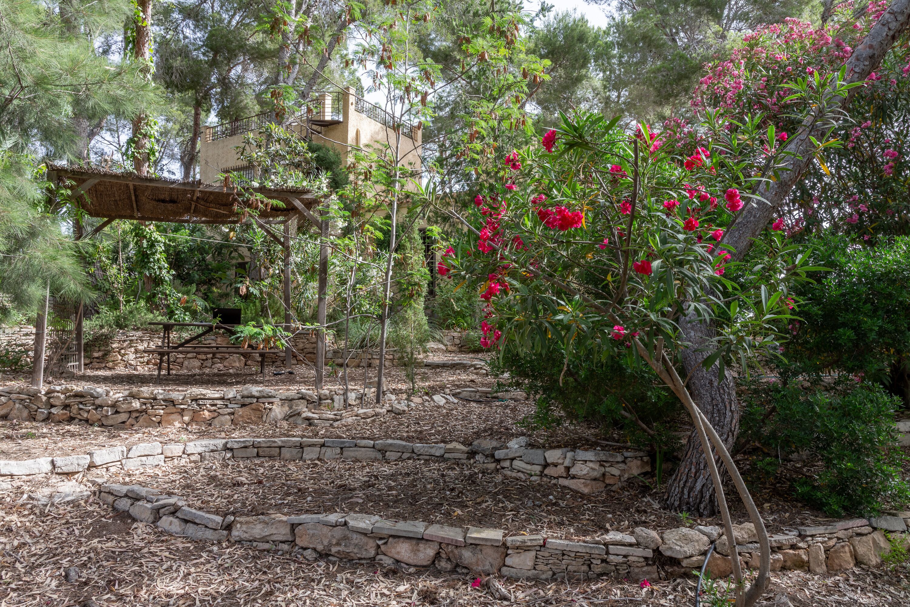 Parco della struttura