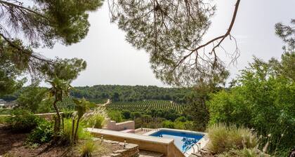 Villa 'Las Pedrizas' with Mountain Views, Private Pool and Wi-Fi
