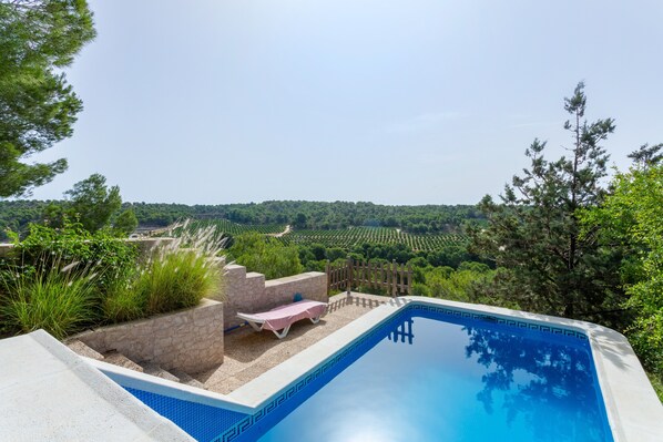 A swimming pool with a view of a vineyard, a lounge chair, and a stone wall.