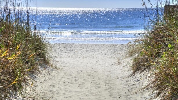 A sandy beach path leading to the ocean with grass on either side.