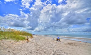 Playa en los alrededores 