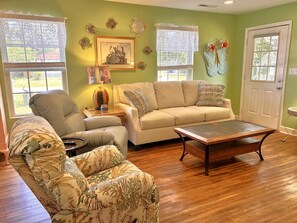 电视、DVD 播放器