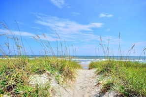 A sandy path leading to the ocean with tall grasses on either side.