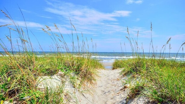 A sandy beach path leading to the ocean with tall grass on either side. - Oceanview Condo OW 4203 in Oak Island: 2 bedrooms, sleeps 6, with stunning views! (Oak Island)