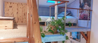 A cabin atmosphere for this charming mezzanine studio