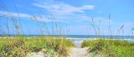 Playa en los alrededores