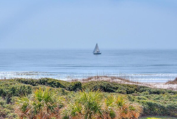 Una spiaggia nelle vicinanze