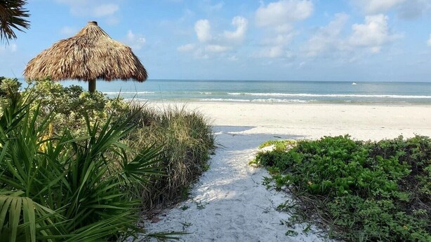 A beach path leading to the ocean with a thatched umbrella and lush greenery. - Ocean Harbor by Distinctive Beach Rentals (Fort Myers Beach)