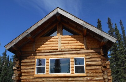 Experience true Alaska secluded Cabin just 15 minutes from Denali National Park.