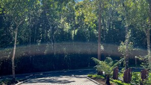 A paved pathway surrounded by trees and greenery, leading to a body of water. - Cozy apartment for your family. (RS)