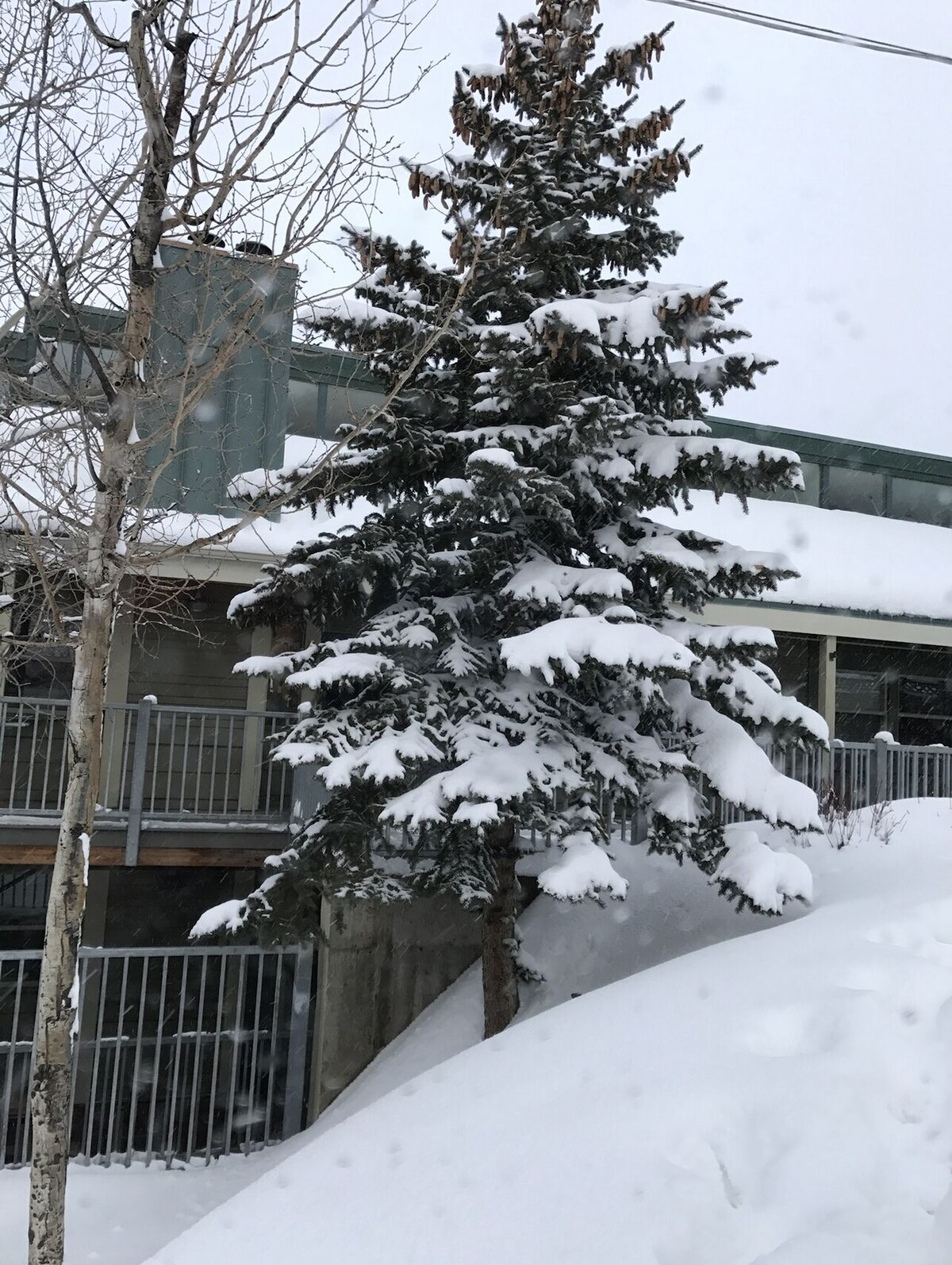 Majoittajan profiilikuva