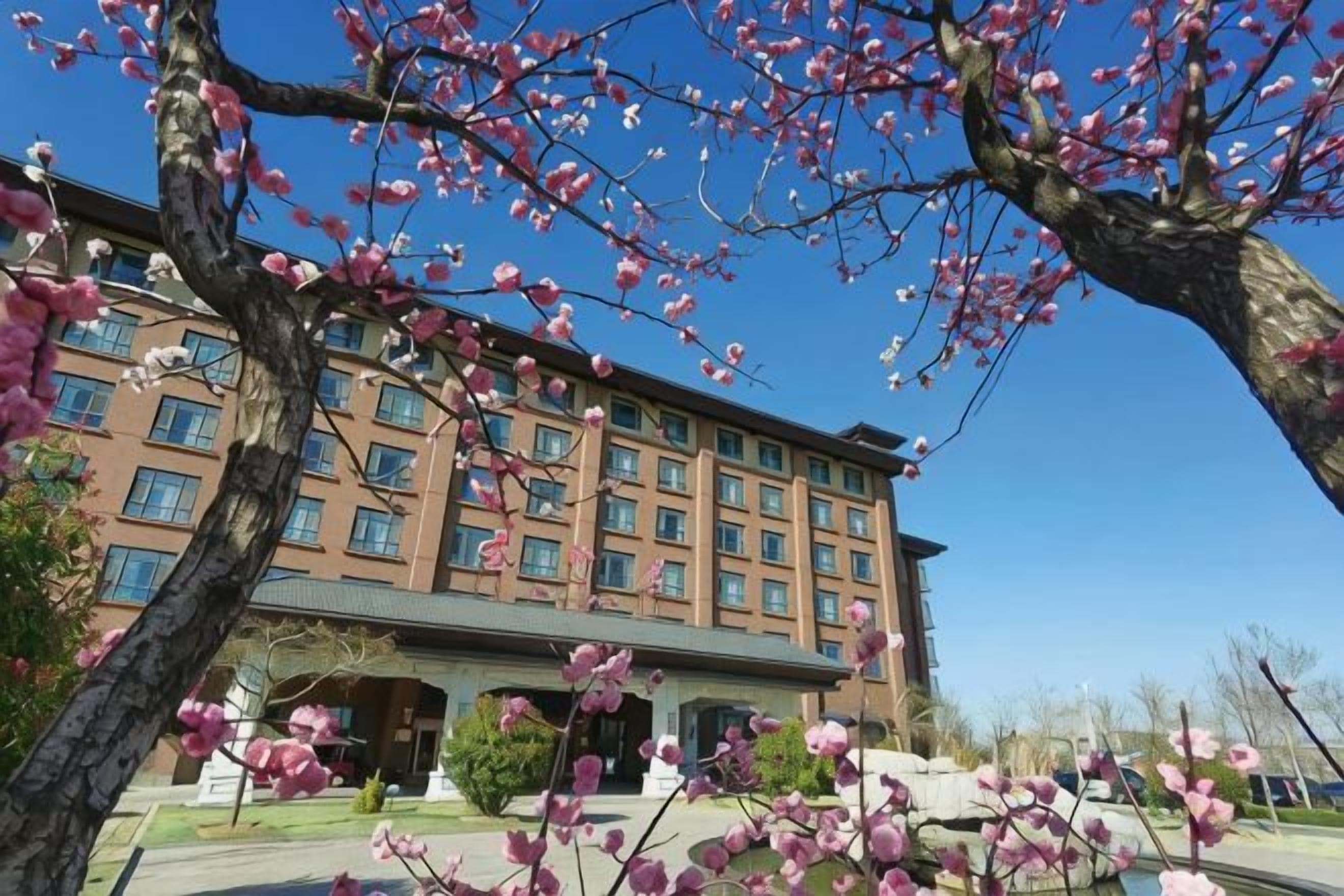 A multi-story hotel with a central courtyard, surrounded by trees with pink blossoms.