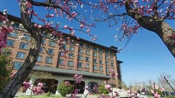 A multi-story hotel with a central courtyard, surrounded by trees with pink blossoms.