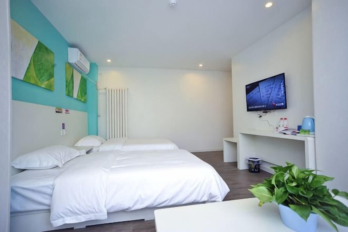 A bedroom with a bed, a TV, a plant, and a white wall.