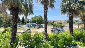 A parking area with several cars, surrounded by palm trees and greenery.