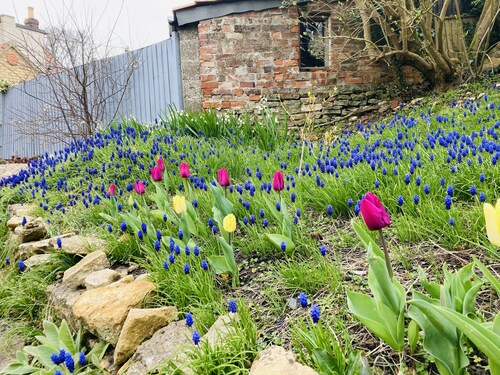 Capella Cottage, 2 Bedroom, Sleeps 4