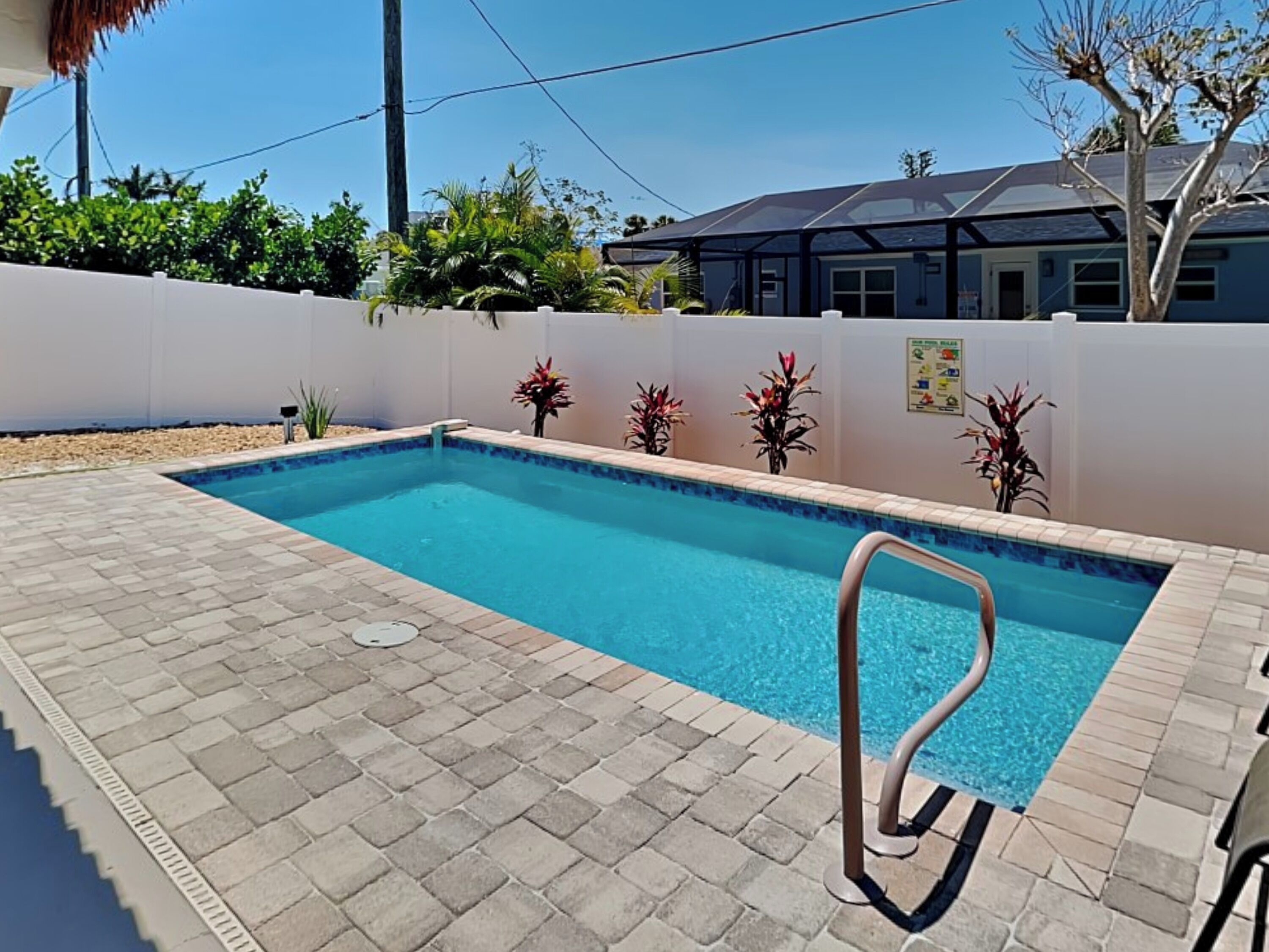 A rectangular swimming pool with a metal ladder, surrounded by a white wall and potted plants.