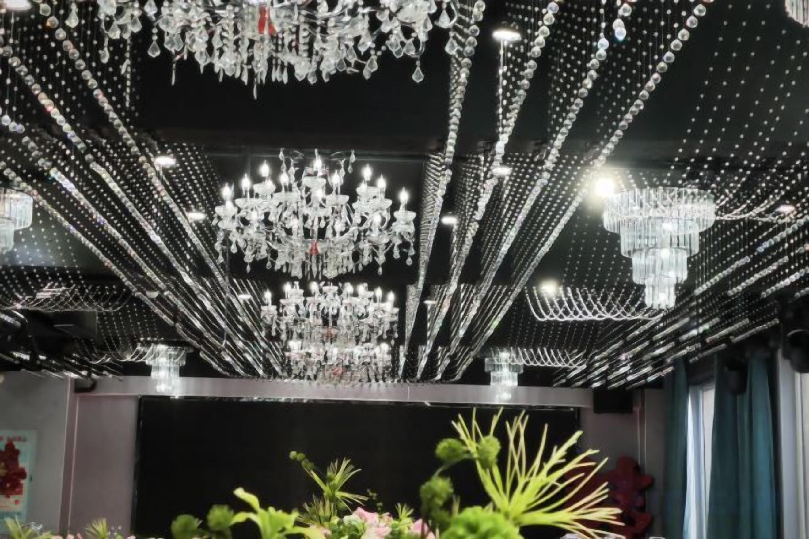 A chandelier with multiple tiers and lights, a dark ceiling, and a plant in the foreground.