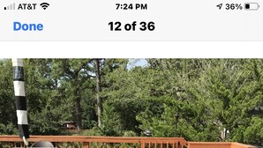 A wooden deck with a pool, surrounded by trees. - Bam!!! August Special rate 79 guests love this little paradise!  Private pool! (Gulf Breeze)