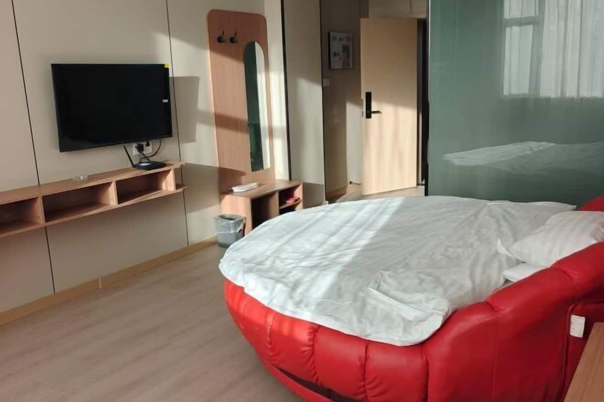 A bedroom with a bed, a television, a mirror, and a wardrobe.