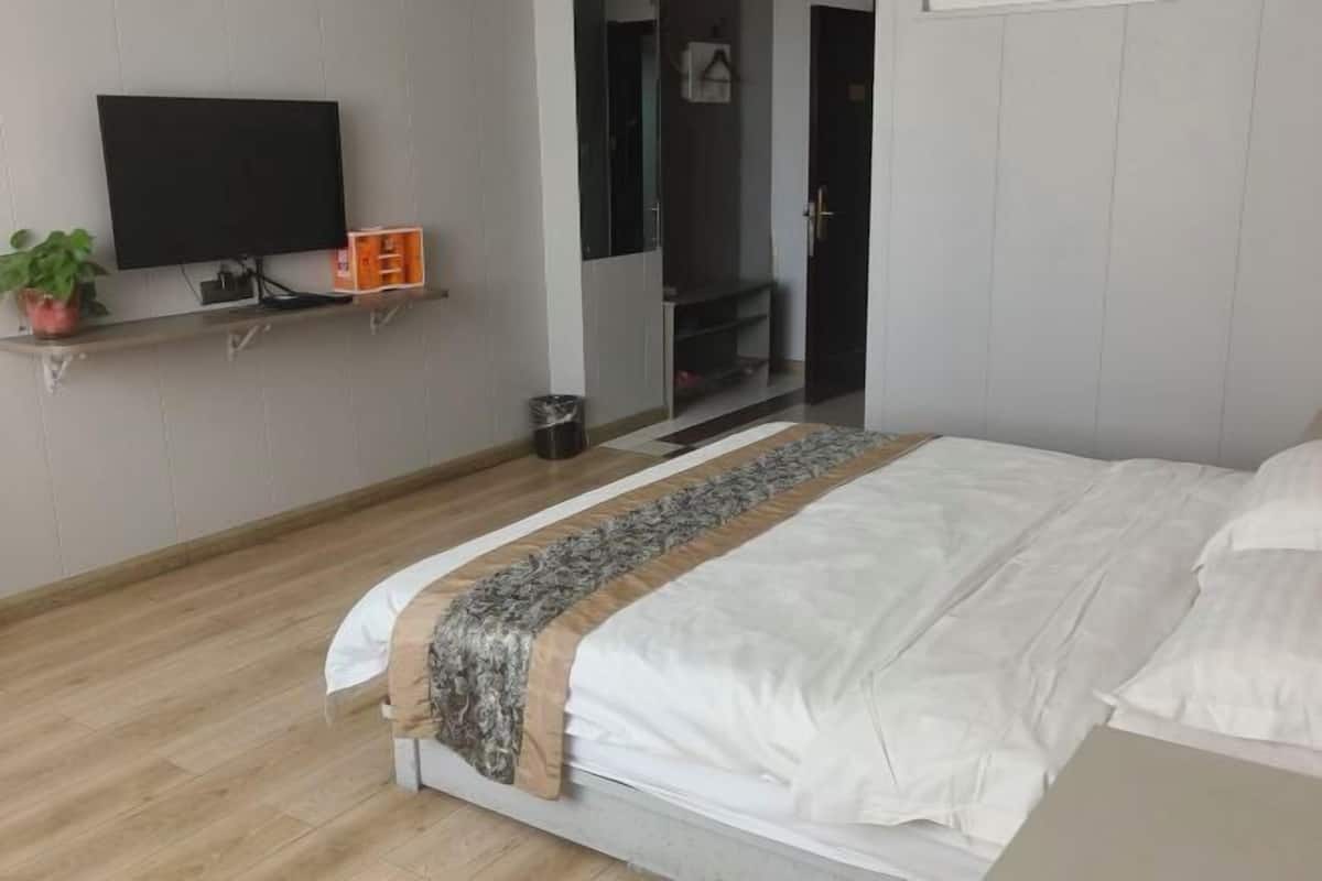 A bedroom with a bed, a TV on a shelf, a potted plant, and a door leading to another room.