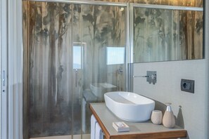 Shower, free toiletries, hair dryer, bidet