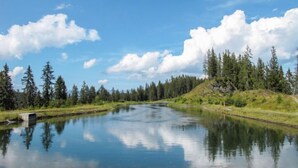 Ein ruhiger Fluss mit dichtem Wald an beiden Ufern, bewölktem Himmel und einem kleinen Steg auf der linken Seite.