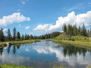 Une rivière paisible aux eaux claires, dont le reflet se mire dans l’eau, bordée d’une forêt dense et d’une berge verdoyante.