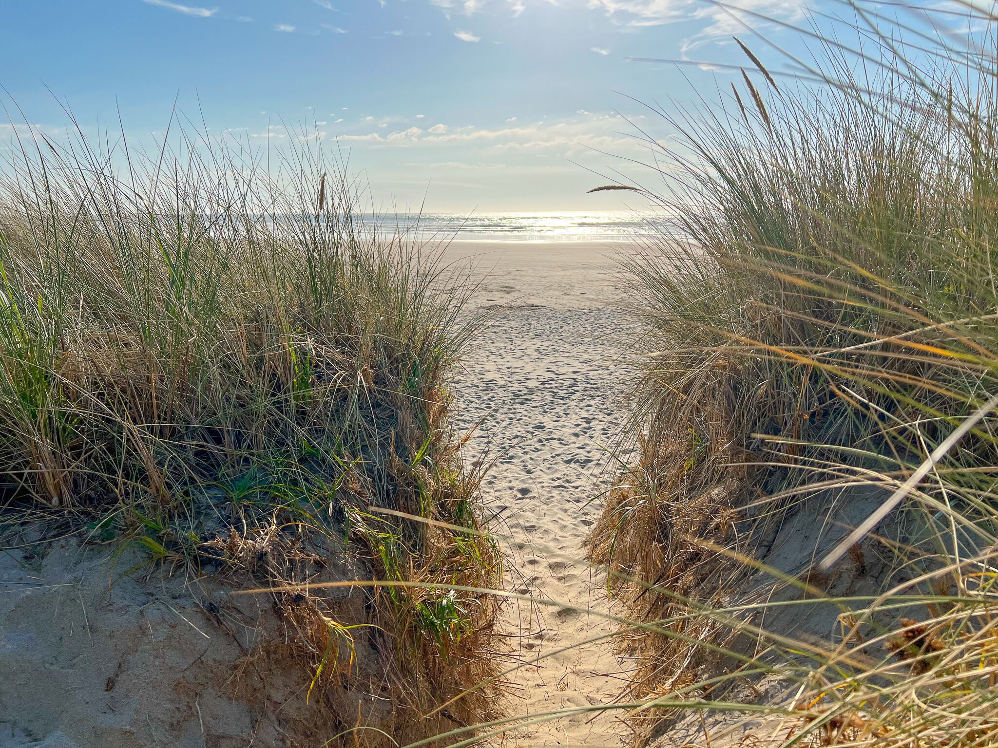 Am Strand, Liegestühle, Strandtücher