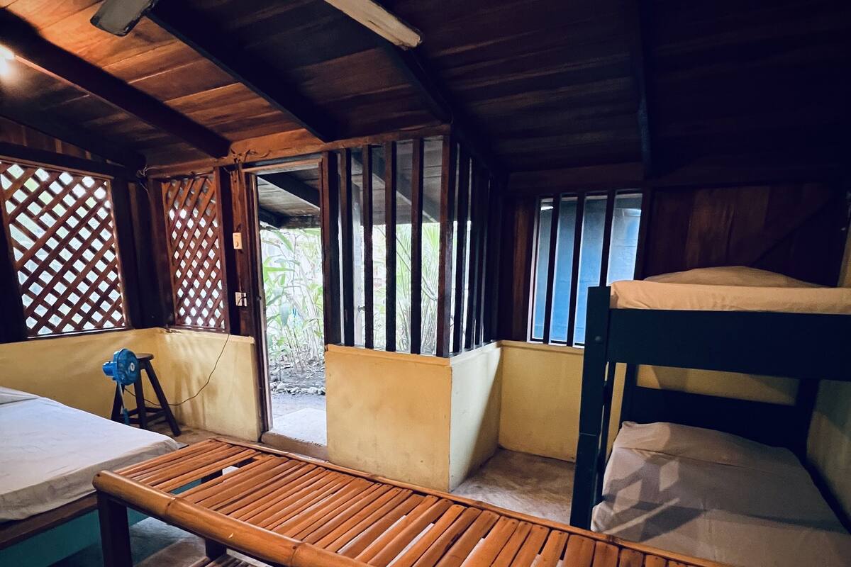 Shared Room 5 Single Beds - Shared bathroom