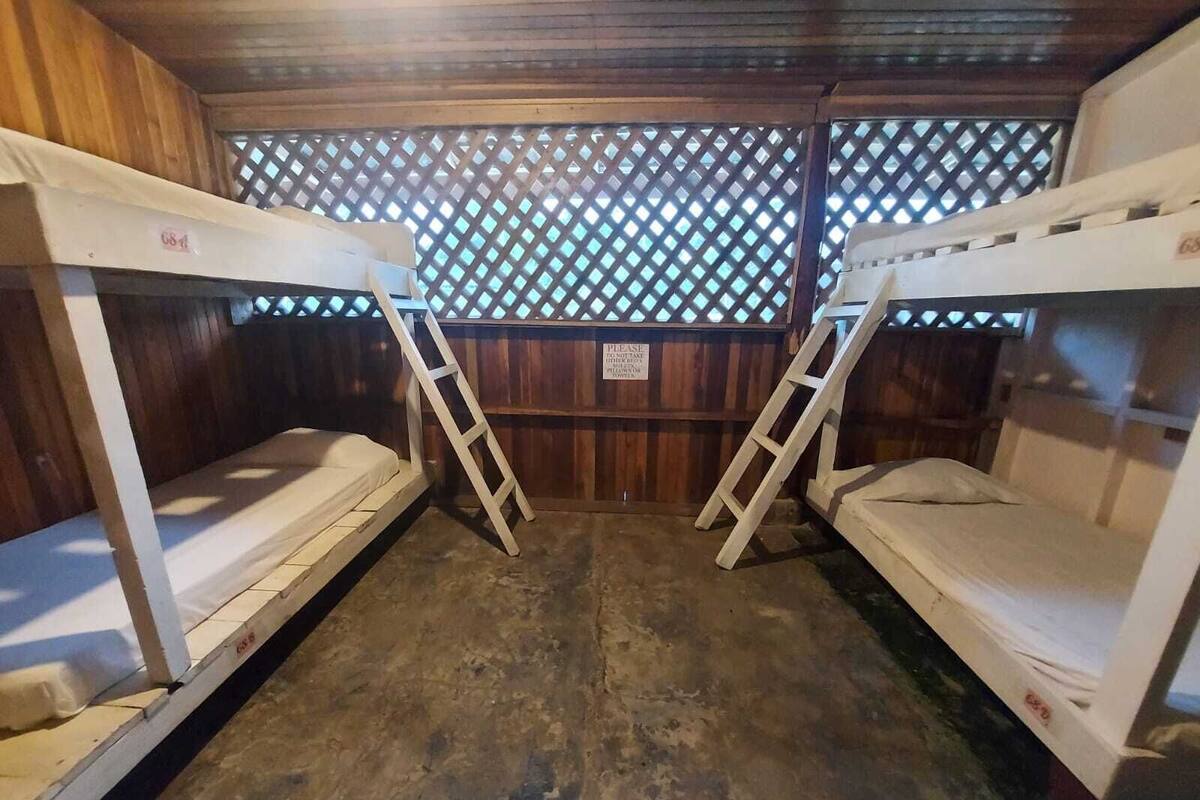 Shared Room 4 Single Beds - Shared Bathroom