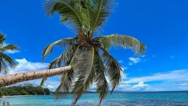 Beach nearby, white sand, 3 beach bars - Hotel Puerto Viejo (Cahuita)